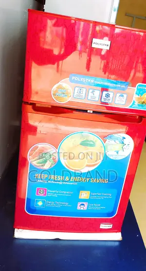 High Standard 80l Polystar Refrigerator ''Pv-Dd2036lr''