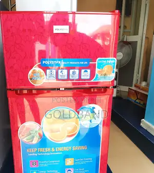 Quality 80L Double Door Refrigerator ''Pv-2036lr''
