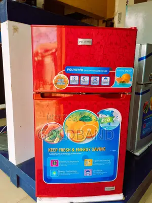 Effective 80L Double Door Refrigerator "Pv-2036lr"
