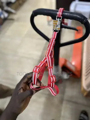 Reflective Dog Leash