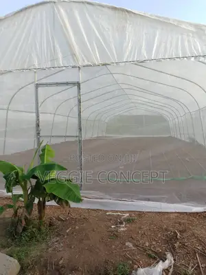 Greenhouse With Solarig Cover/Insect Net (Polytunnel)