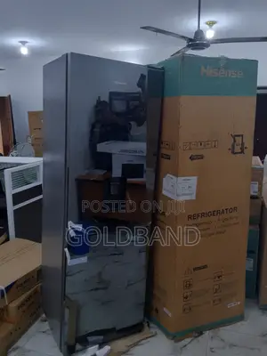 Best Standard Hisense Ref308dr Double Door Refrigerator