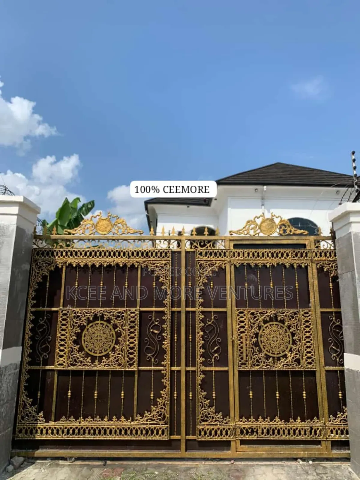 Wrought Iron, Stainless Steel Gates