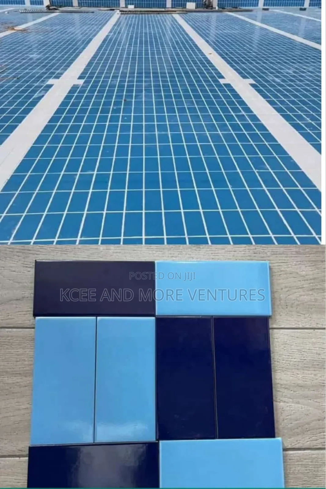 Swimming Pool Floor and Wall Tiles