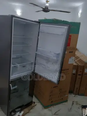 Dynamic Hisense Double Door Refrigerator Ref308dr