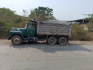 Black Iron Chippings Stone