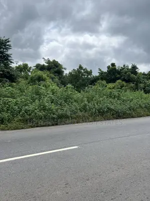 10000 Acres of Land for Sale Along Moniya Iseyin Road