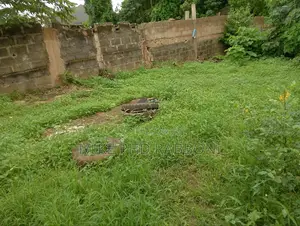 A Carve Out of 150 SQM of Land at Old G.R.A for 20m