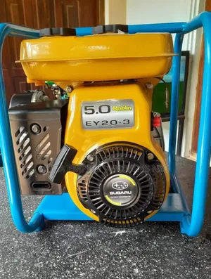 Robin Pump