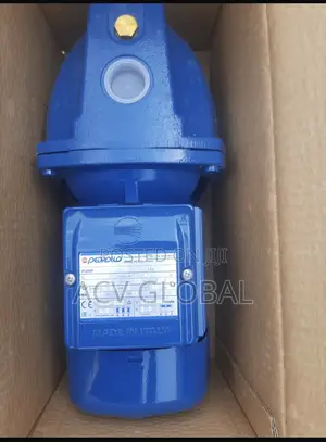 1hp Pedrollo Surface Pump