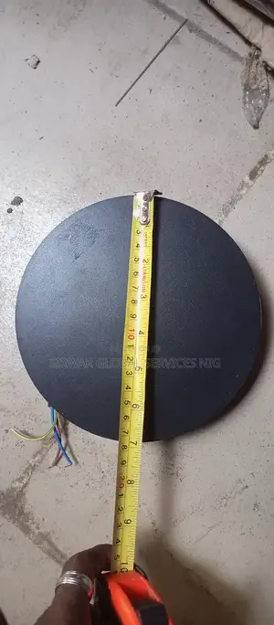 Wall Mounted Light