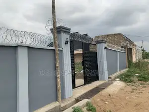 Galvanized Razor Bare Wire for Fencing