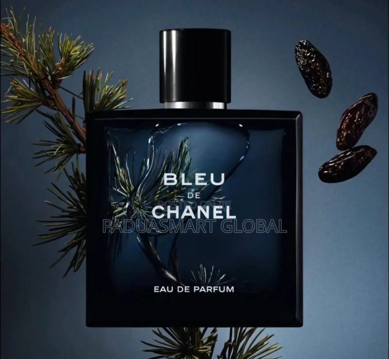 Bleu DE Channel