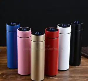 Temperature Flask / Water Bottle