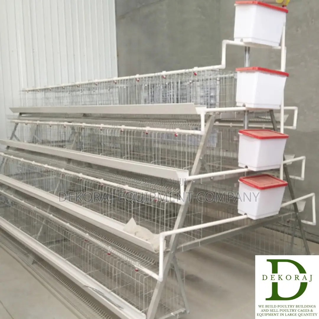 160 Capacity Layers Cage, Gas Brooder, Manure Dryer