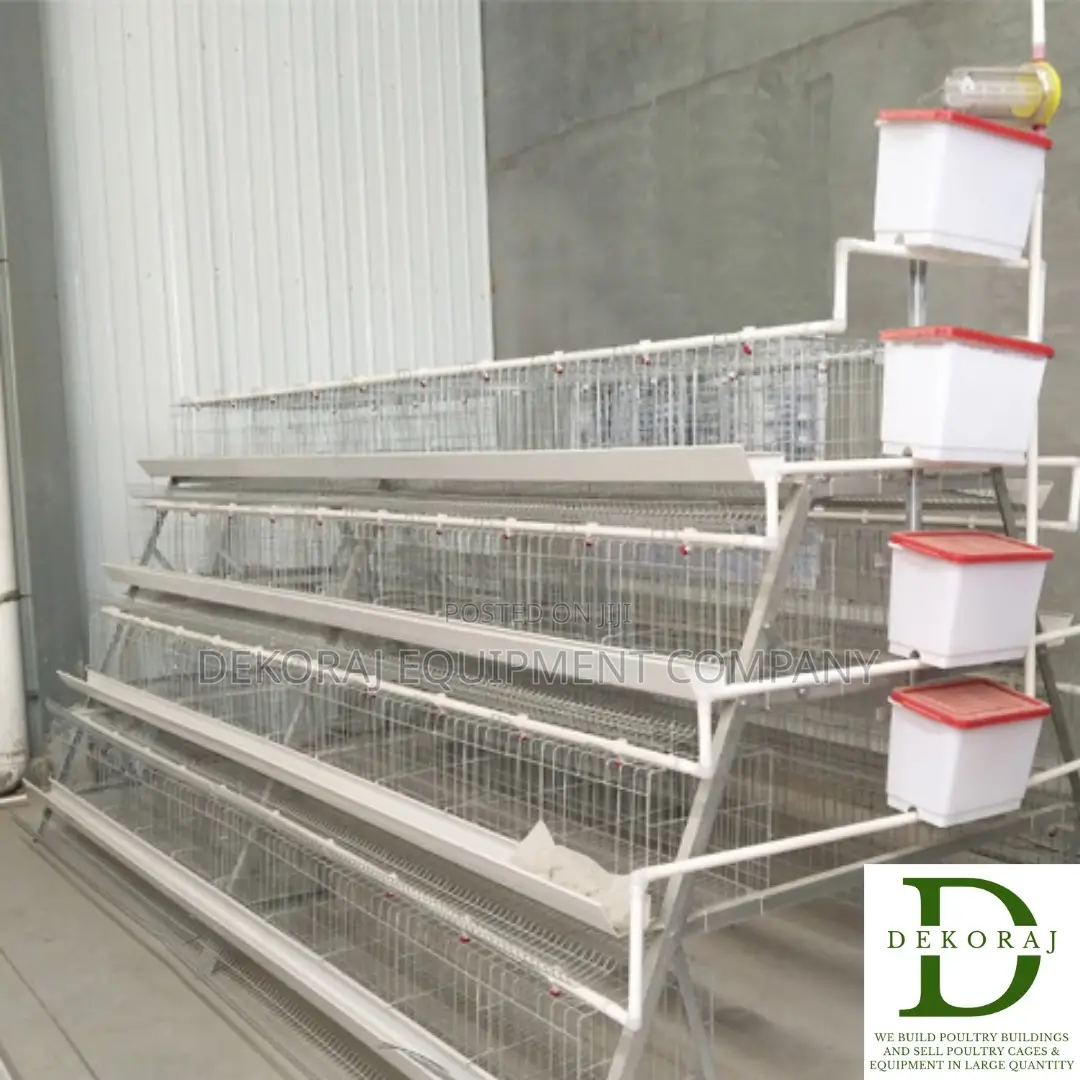 160 Capacity Layers Cage, Bell Drinker, Gas Brooder