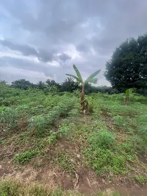 Photo - 5 Acres Land For Sale In Ido / Eruwa Road Ibadan