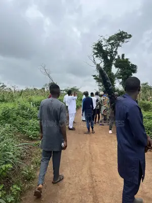 Photo - 1000 Acres of Land for Sale at Lafuwape Comes With R.Survey