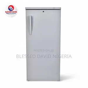 Scanfrost 200L Standing Freezer - SVF 200