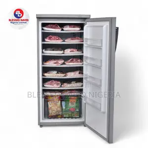 Scanfrost 200L Standing Freezer - SVF 200