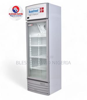 Scanfrost 300L Bottle Cooler - SFUC300XG