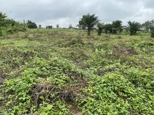 Photo - 10 Acres of Land for Sale at Kobape, Ogun State