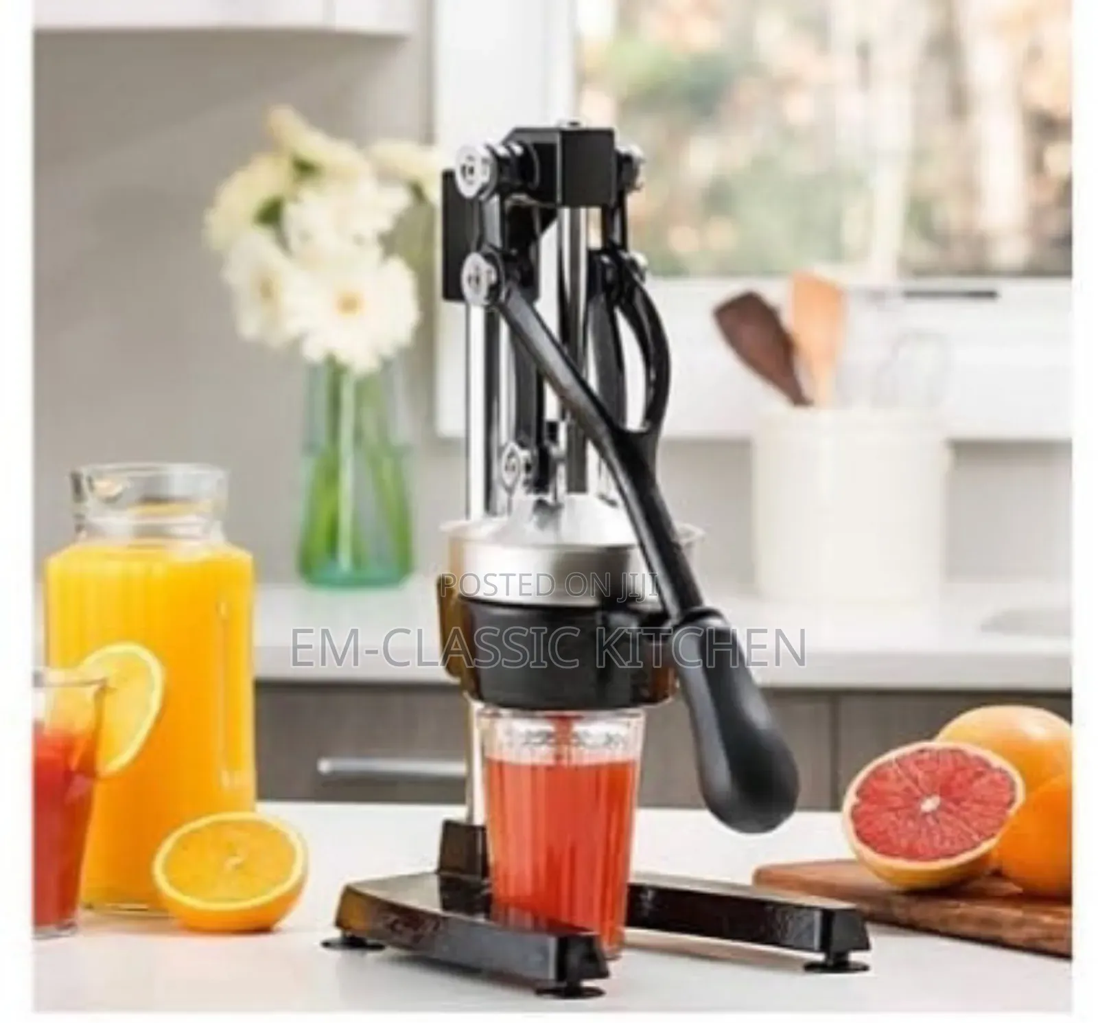 Manual Orange Juice Extractor