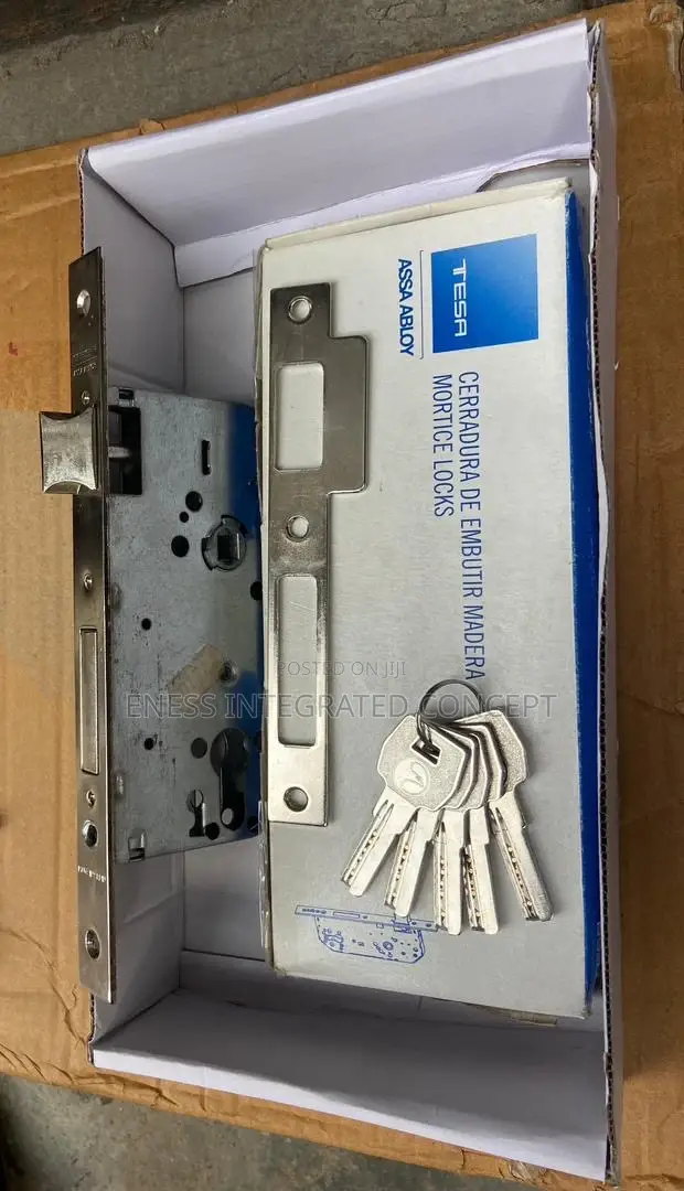 Tessa Mortise Lock