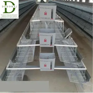96 Capacity Layers Cage, Chicken Drinker, Bell Drinkers