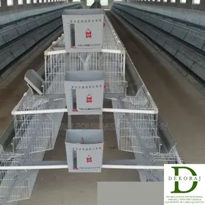 96 Capacity Layers Cage, Chicken Cutter, Nipple Drinkers