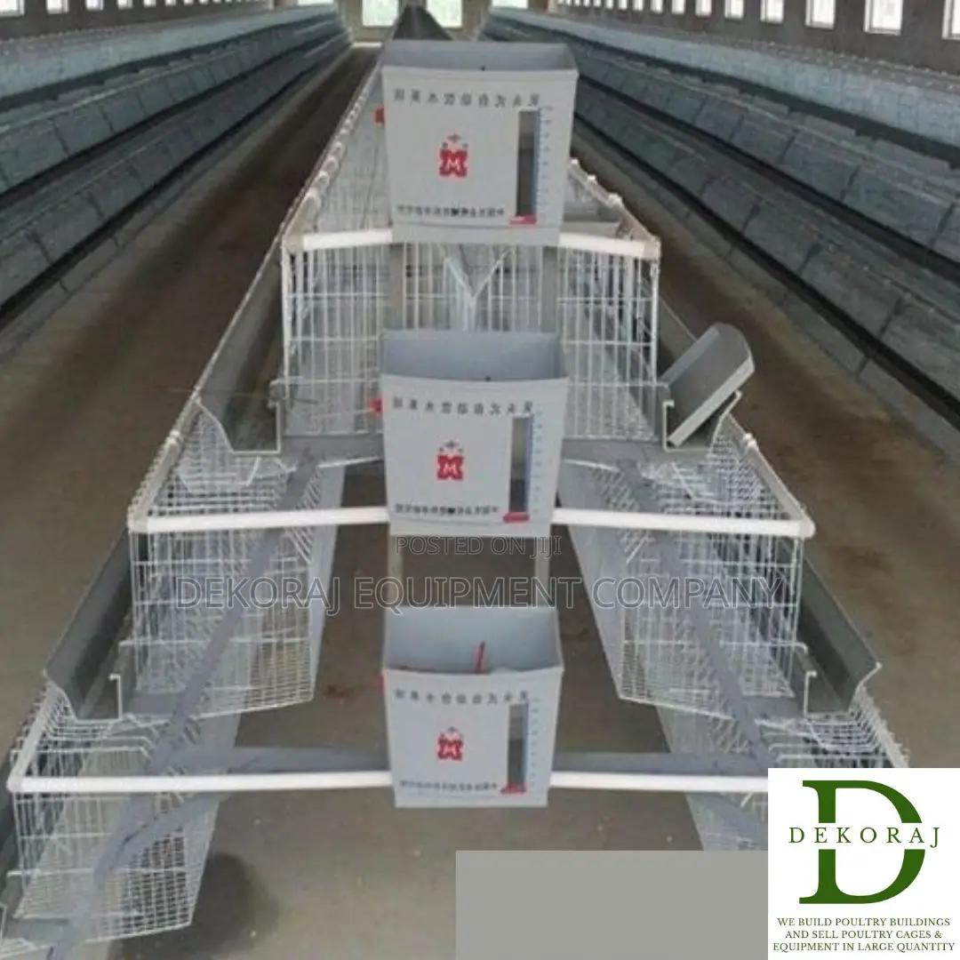 96 Capacity Layers Cage, Automatic Drinkers, Chicken Feeder