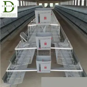 96 Capacity Layers Cage, Bell Drinkers, Chicken Feeder