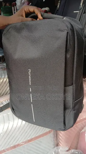 Laptop and Other Bags