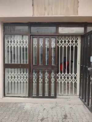 Collapsible Door