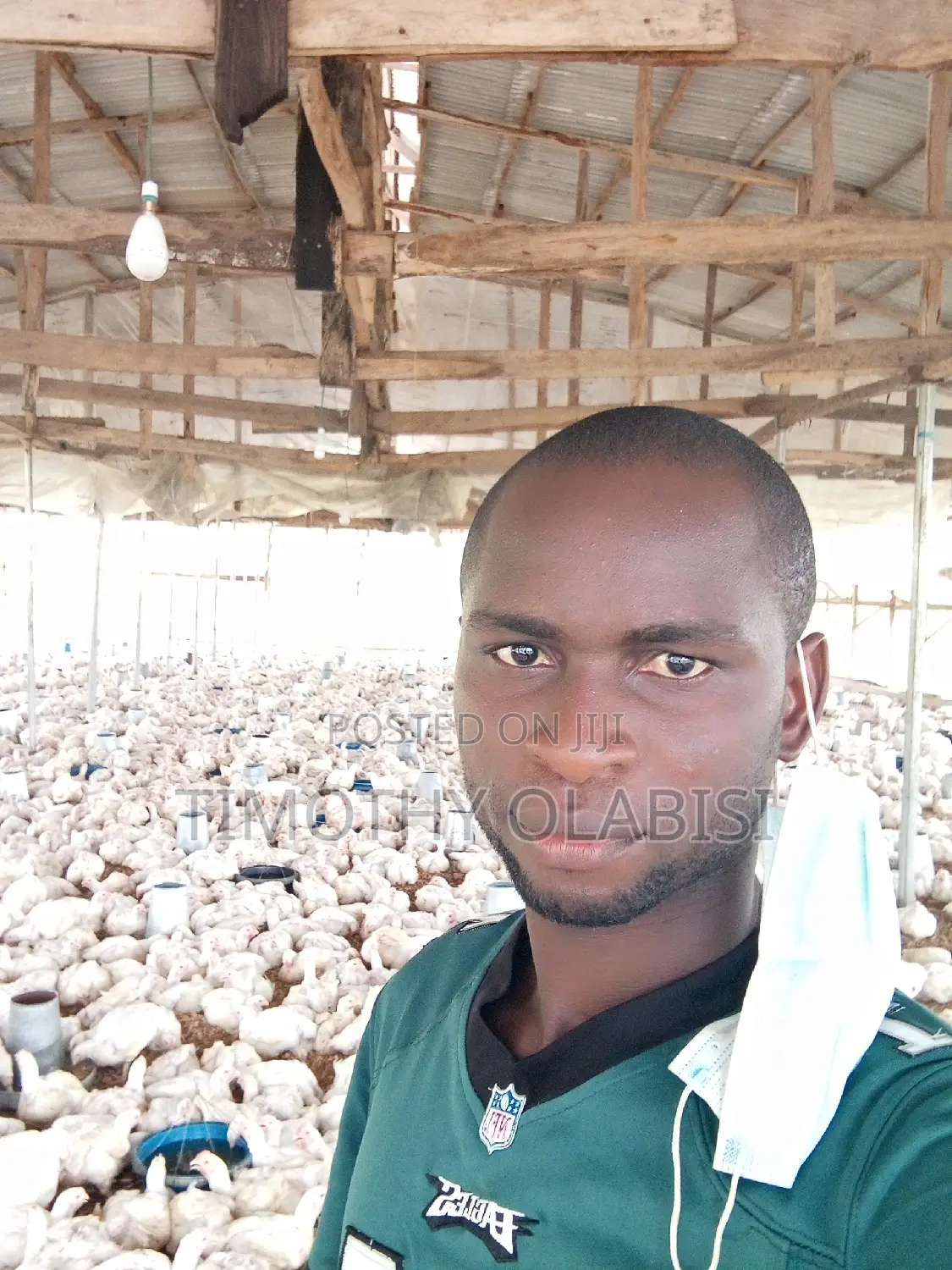 Experienced Poultry,Feedmill and Fish Farm Manager
