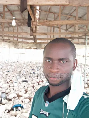 Experienced Poultry,Feedmill and Fish Farm Manager