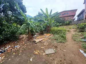 Massive Plot Off Akowonjo Road