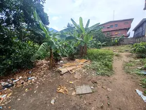 Massive Plot Off Akowonjo Road