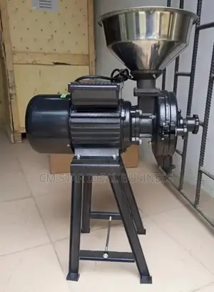 Wet and Dry Grinder