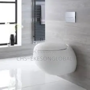 Ideal Standard Conceal Executive Wc