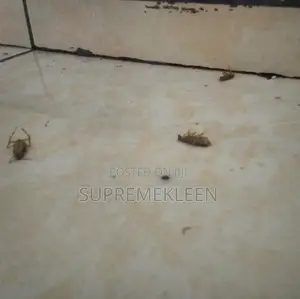 Top-Notch Fumigation Service