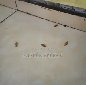 Top-Notch Fumigation Service