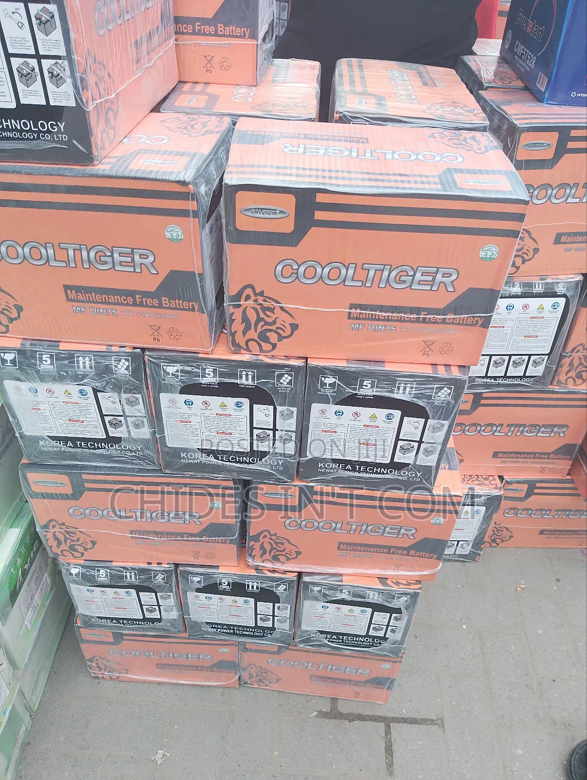 75ah Cooitiger Battery