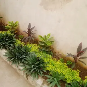 Gardening and Horticultural Services for Homes, Offices, Etc