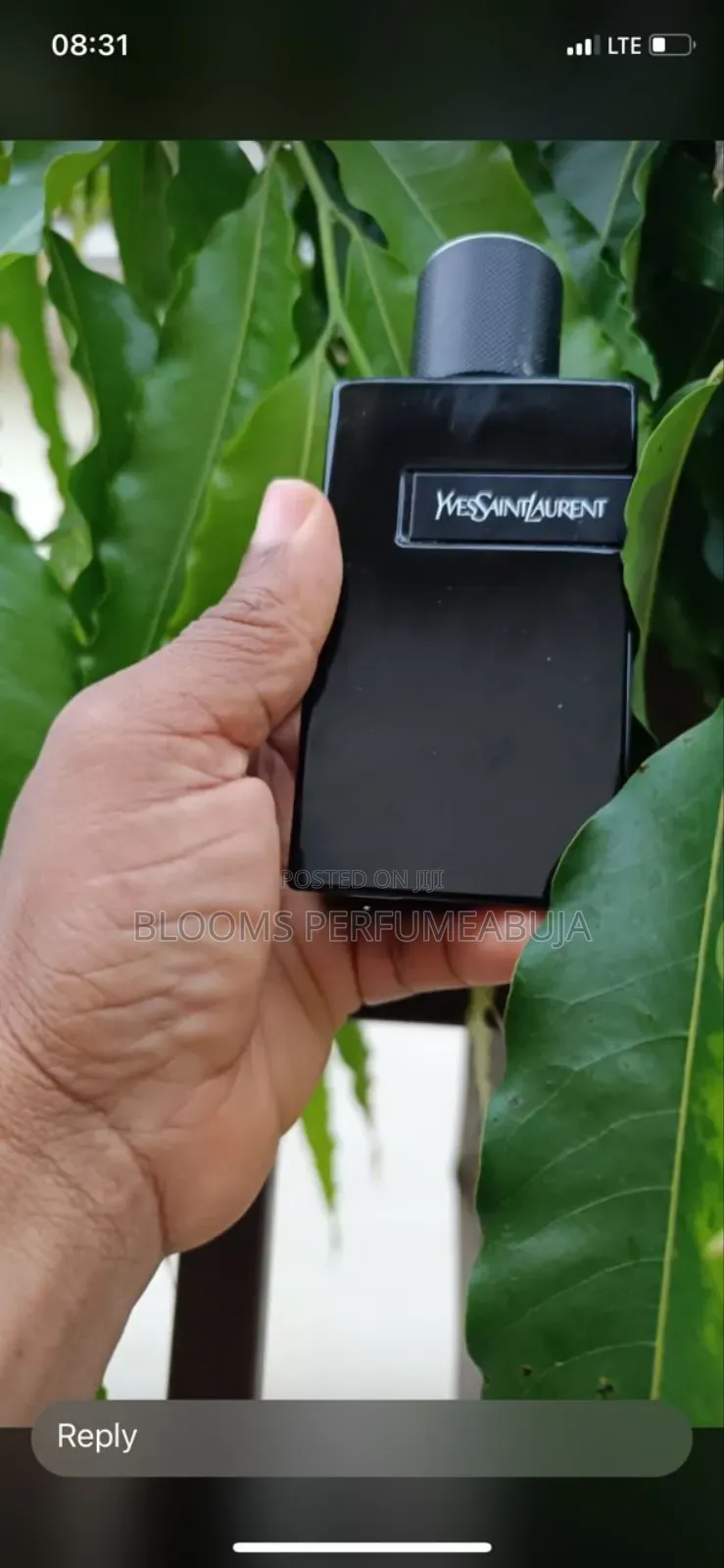 YSL Le Parfum Unboxed