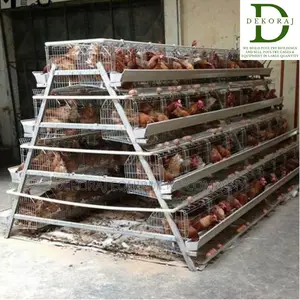 96 Capacity Poultry Cage, Nipple Drinkers, Layers