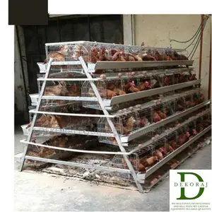 120 Capacity Poultry Cage,Chicken Plucker, De-feathering Mac