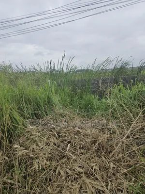 Available Land for Sale at Katampe Extension Abuja