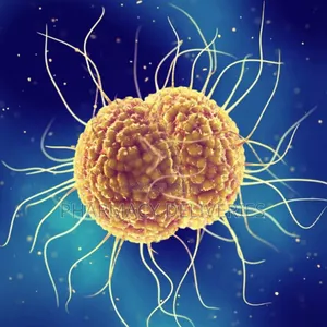 Treatment for Gonorrhea, Uti, Pid in Men and Women Available