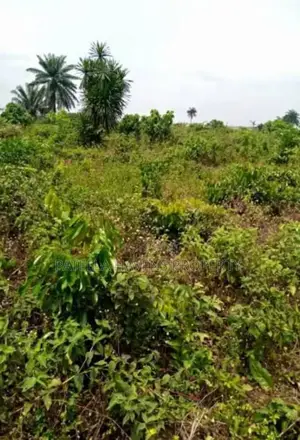 Land for Sale in Kuje